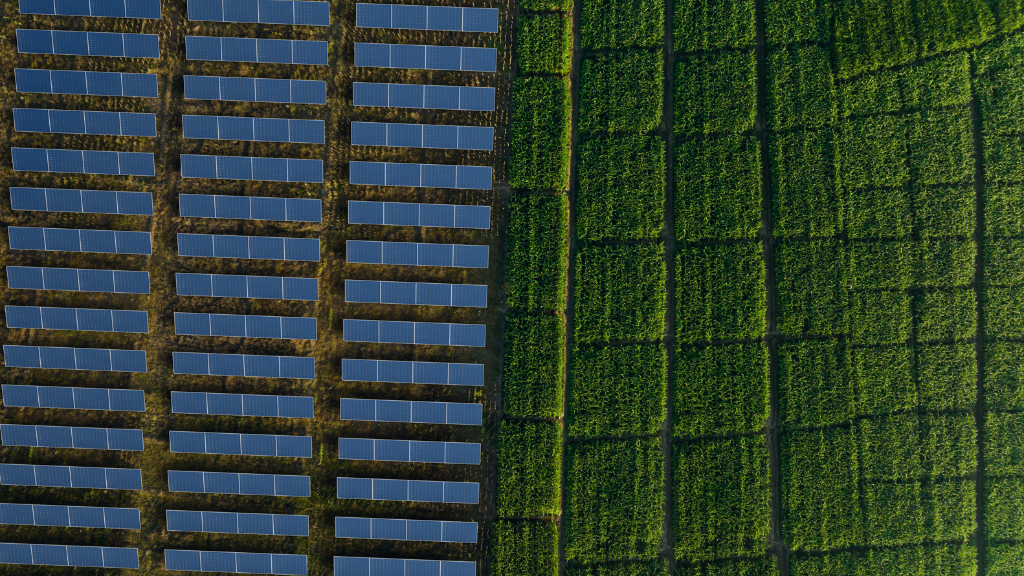 SolarWise About